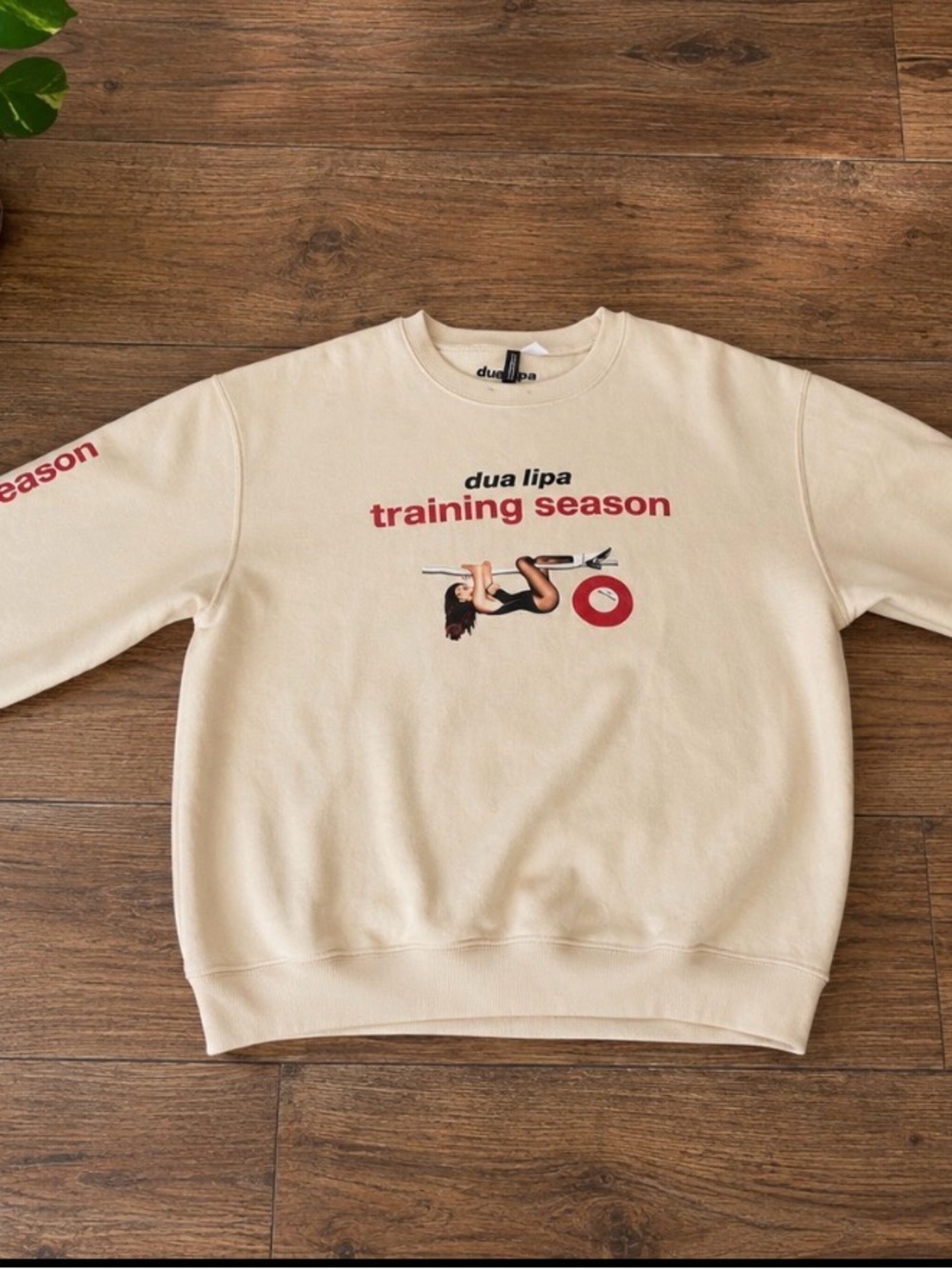 Divided Cream Crewneck Sweatshirt with Red Graphic